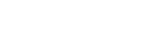 logo FLR